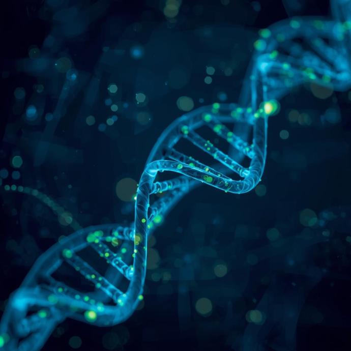 Genetic testing for Von Hippel-Lindau Disease (VHL)