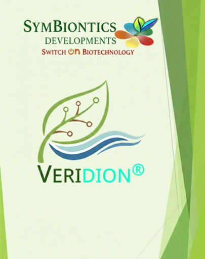 Veridion